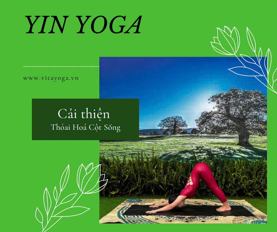 LỚP YOGA ONLINE Y2 - YIN YOGA CẢI THIỆN THOÁI HOÁ CỘT SỐNG